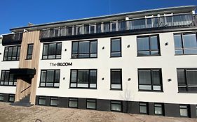 The Bloom